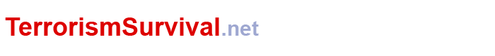 Direct Measures International, Inc.